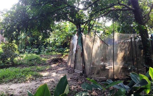 Cô nàng tiểu thư choáng vì về quê người yêu ra mắt thấy nhà ngập phân gà, chiếu giường cáu bẩn - Ảnh 4.