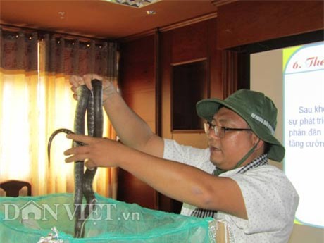 nuôi rắn