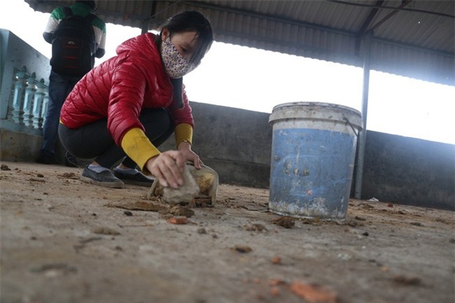 Vụ nổ ở Bắc Ninh: Sáng nay, công binh đã thu gom hơn 1 tấn đạn - Ảnh 10.
