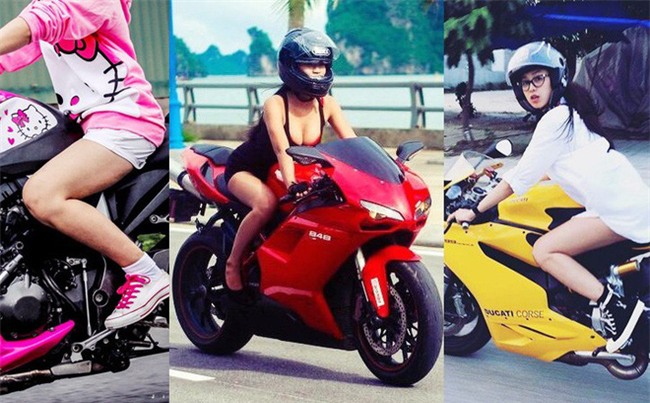 Sức hút của bóng hồng thuần phục 