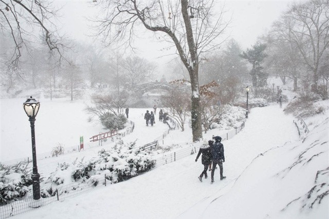New York như “hành tinh khác” trong trận bão tuyết khiến nước Mỹ lạnh hơn sao Hỏa - Ảnh 8.