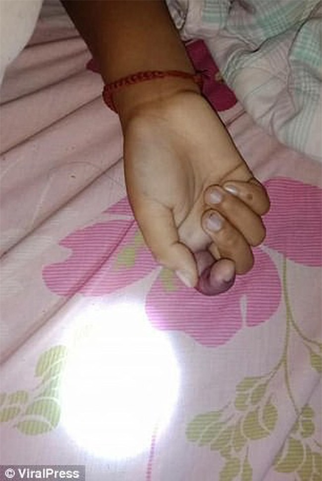 Mở cửa phòng cháu gái, cụ bà đau đớn khi thấy đứa cháu 9 tuổi bị rắn hổ mang lẻn vào cắn chết từ bao giờ - Ảnh 3.