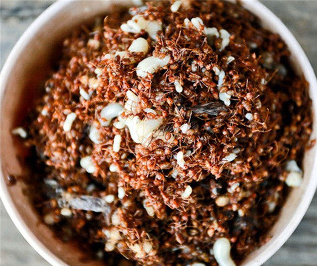 đặc sản rùng mình,hải sản,món ăn lạ