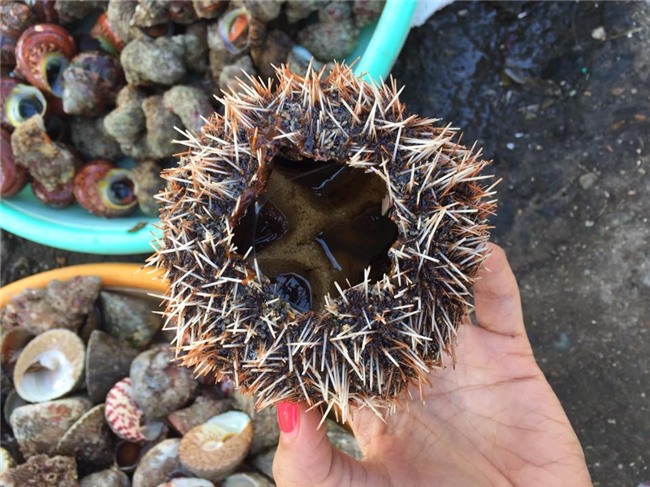 đặc sản rùng mình,hải sản,món ăn lạ