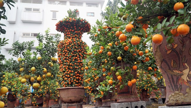 cap quyt loc binh "khung" xuong pho don tet nguyen dan - 1