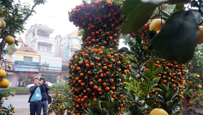 cap quyt loc binh "khung" xuong pho don tet nguyen dan - 3