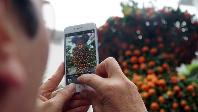 cap quyt loc binh "khung" xuong pho don tet nguyen dan - 4