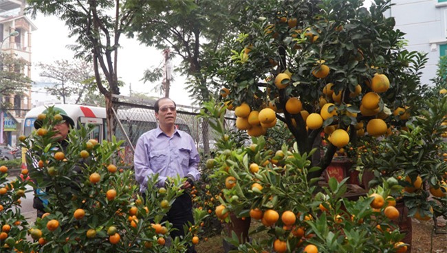 cap quyt loc binh "khung" xuong pho don tet nguyen dan - 9