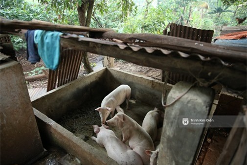 nha-hhen-nie-blogtamsuvn008