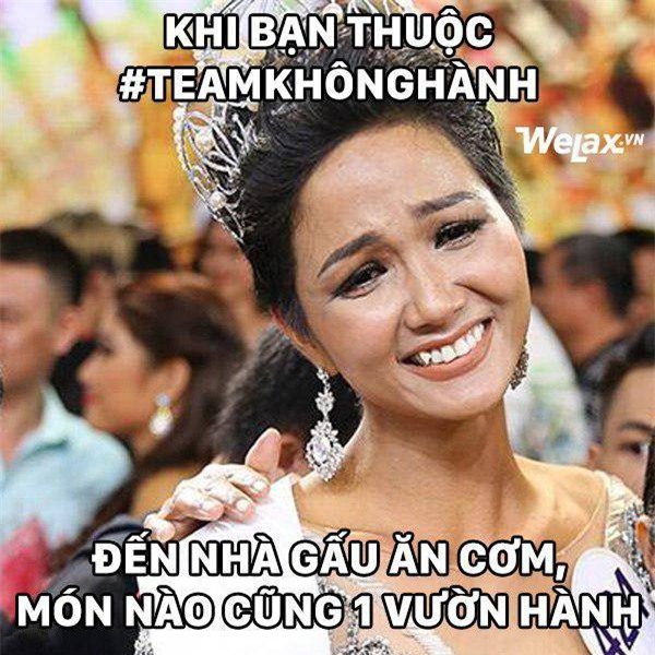 Đăng quang Hoa hậu Hoàn vũ, H’Hen Niê vượt mặt Hoàng Thuỳ thành thánh ảnh chế-3