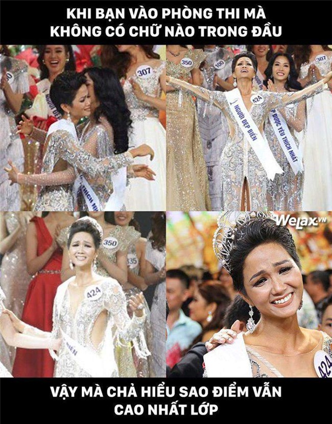 Đăng quang Hoa hậu Hoàn vũ, H’Hen Niê vượt mặt Hoàng Thuỳ thành thánh ảnh chế-5