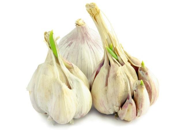 tac dung suc khoe tuyet voi cua rau cu qua mau trang it nguoi biet - 3
