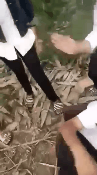 Clip: Nam sinh lớp 8 bị nhóm nữ sinh chặn đường, đạp vào người, tát túi bụi vào mặt khiến dư luận bức xúc - Ảnh 3.