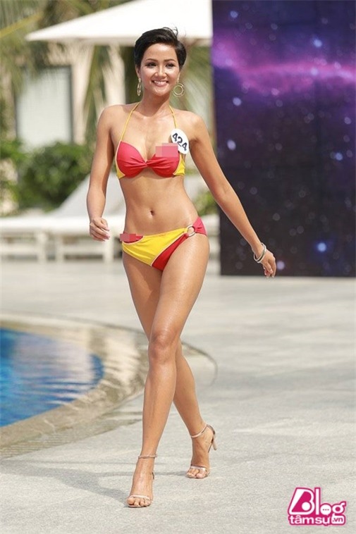 hoa-hau-hhen-nie-blogtamsuvn042