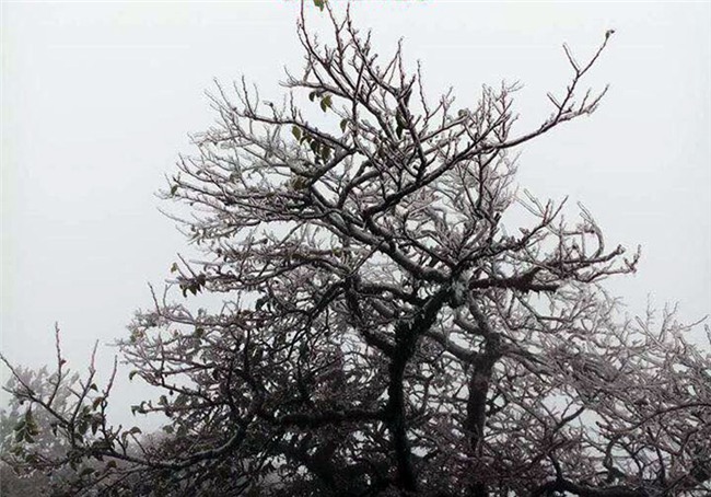 Dự báo thời tiết,bản tin thời tiết,tin thời tiết,thời tiết Hà Nội,băng tuyết