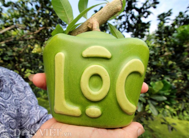 bo tien trieu dat mua dao tien thoi vang tai loc doc la don tet - 1