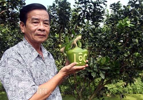 bo tien trieu dat mua dao tien thoi vang tai loc doc la don tet - 2