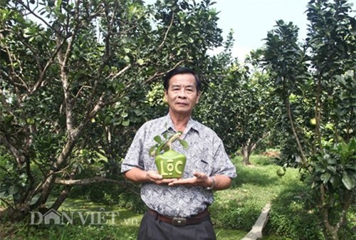 bo tien trieu dat mua dao tien thoi vang tai loc doc la don tet - 3