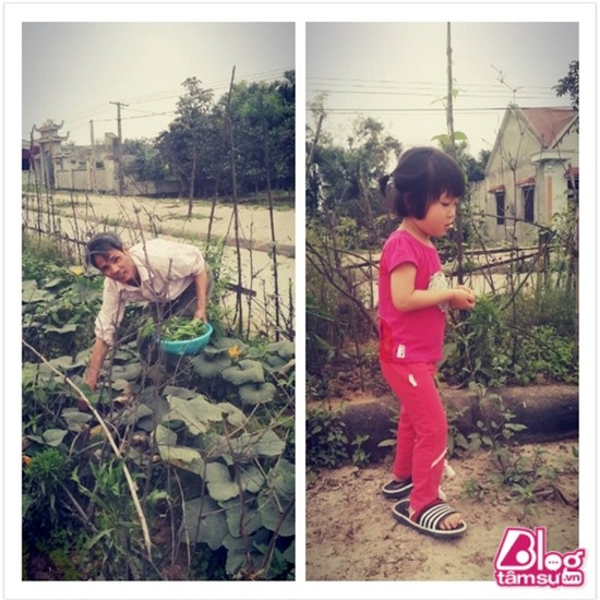 nha hoang thuy blogtamsuvn (3)