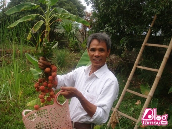 nha hoang thuy blogtamsuvn (4)