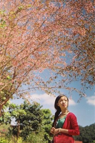 Lên Đà Lạt mùa này tuyệt như đi Nhật, có mai anh đào nở rộ rực hồng, trời lại rất xanh trong - Ảnh 10.