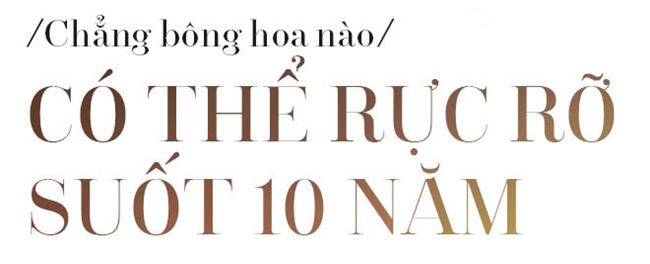 Mai Phuong Thuy: 'Nua doi la hoa hau roi, toi chi mo song binh thuong' hinh anh 3