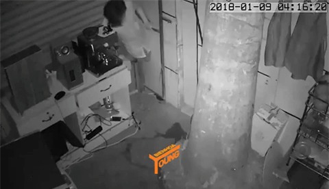 Clip: Đạo chích khoét vách tường, chui vào nhà trộm tài sản lúc sáng sớm - Ảnh 2.