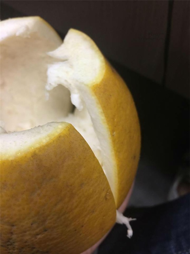 cach phan biet buoi dien xin va buoi dien tran lan chi ban gia 20 nghin dong - 7