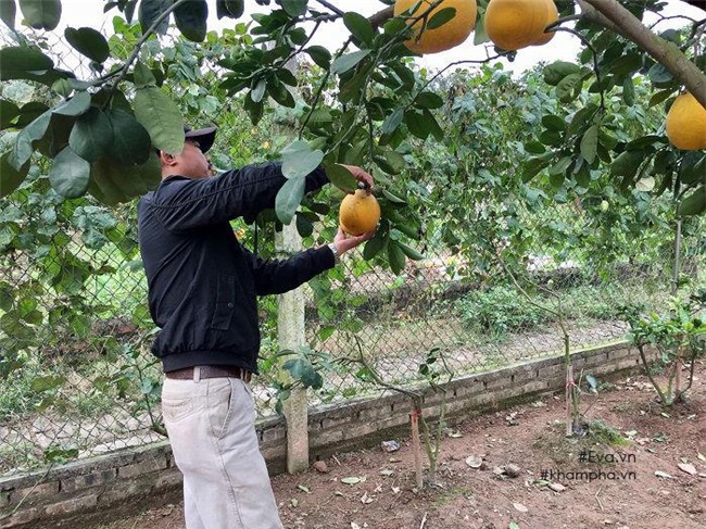 cach phan biet buoi dien xin va buoi dien tran lan chi ban gia 20 nghin dong - 8