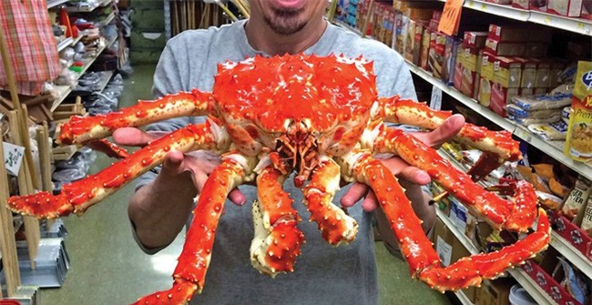 Nghịch lý trong một số món ăn đắt giá và xa xỉ nhất hành tinh - Ảnh 10.