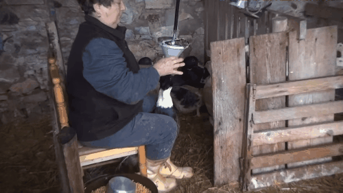 Nghịch lý trong một số món ăn đắt giá và xa xỉ nhất hành tinh - Ảnh 2.