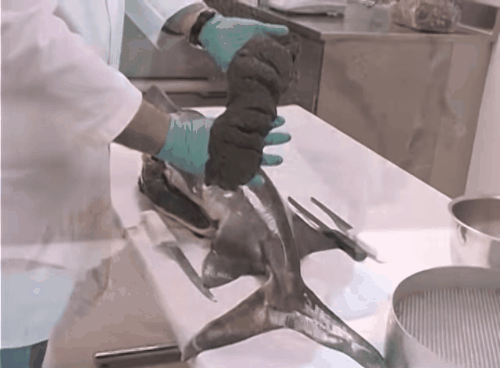 Nghịch lý trong một số món ăn đắt giá và xa xỉ nhất hành tinh - Ảnh 6.