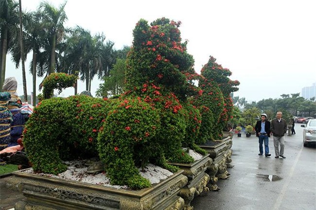 chiem nguong 2 cap kieng “khung” hinh linh vat vua ve den ha noi - 1
