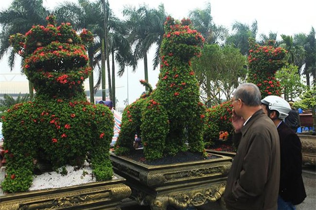 chiem nguong 2 cap kieng “khung” hinh linh vat vua ve den ha noi - 2