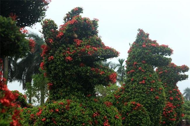 chiem nguong 2 cap kieng “khung” hinh linh vat vua ve den ha noi - 3