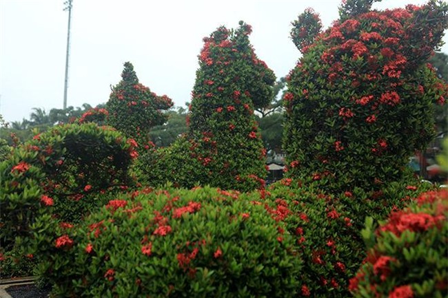 chiem nguong 2 cap kieng “khung” hinh linh vat vua ve den ha noi - 6