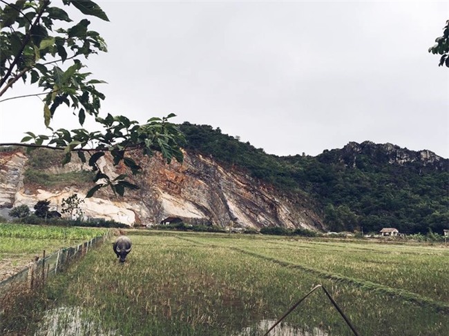 Khung cảnh đồng lúa xung quanh nhà của&nbsp;Hoàng Thuỳ - Tin sao Viet - Tin tuc sao Viet - Scandal sao Viet - Tin tuc cua Sao - Tin cua Sao