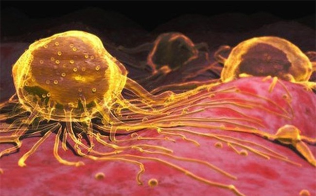 Uống hạt nano vàng: Không tác dụng chữa ung thư, thậm chí gây độc-2