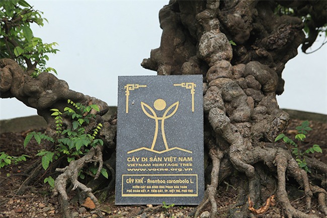 cap khe “vo chong” hon 400 nam tuoi duoc cho la cua vua gia long hinh anh 2