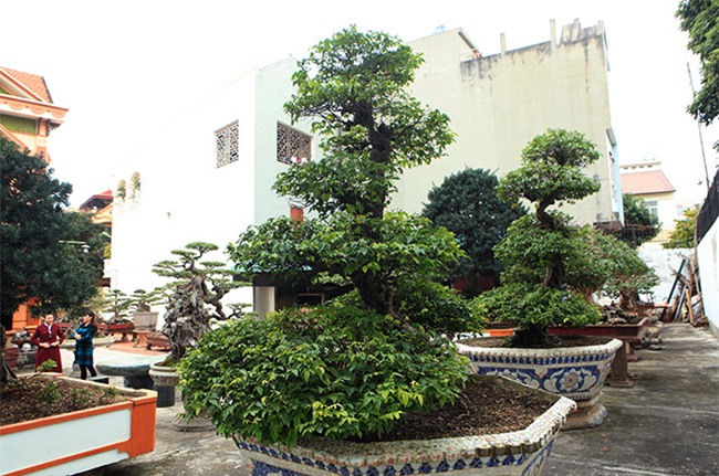 cap khe “vo chong” hon 400 nam tuoi duoc cho la cua vua gia long hinh anh 7