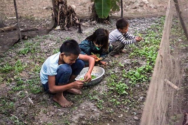 mot ngay "xoay nhu chong chong" cua ong bo mot minh nuoi 8 con - 11