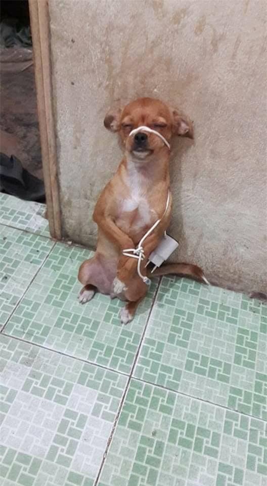Bị phạt mà vẫn ngủ được kìa.