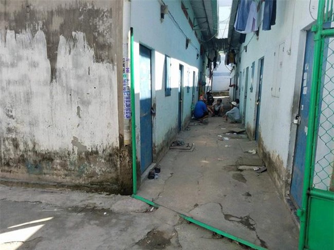 vu vo giet chong gay rung dong binh duong: hang thi hong diem dang thuc nghiem hien truong - 2