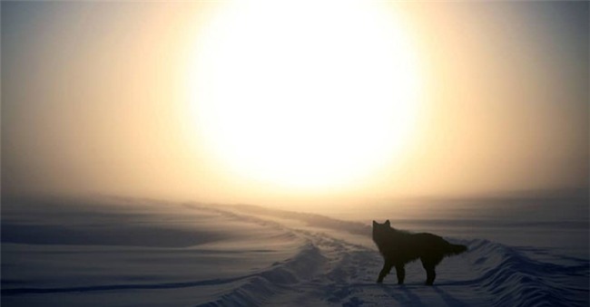 Bất chấp trời lạnh -60 độ C tại ngôi làng lạnh nhất thế giới, nhóm du khách Trung Quốc trút bỏ quần áo, bơi lội vui vẻ - Ảnh 12.