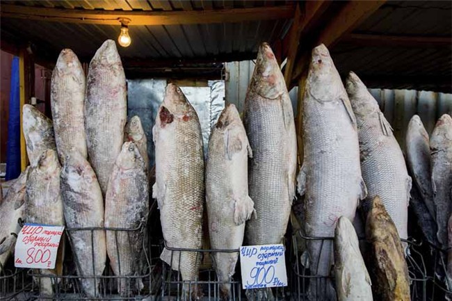 Bất chấp trời lạnh -60 độ C tại ngôi làng lạnh nhất thế giới, nhóm du khách Trung Quốc trút bỏ quần áo, bơi lội vui vẻ - Ảnh 6.