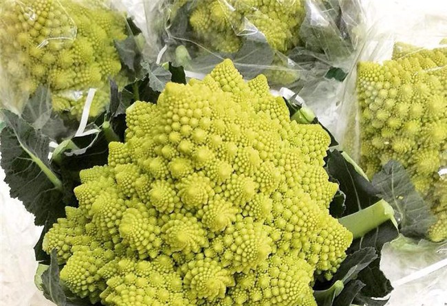 hoa quả nhật bản,hàng nhật,đặc sản nhà giàu,hàng nhập khẩu,hàng xách tay,súp lơ