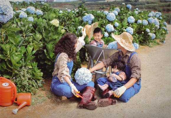 Hải Băng và Thành Đạt, vợ chồng Hải Băng, Thanh Đạt, Hải Băng và con