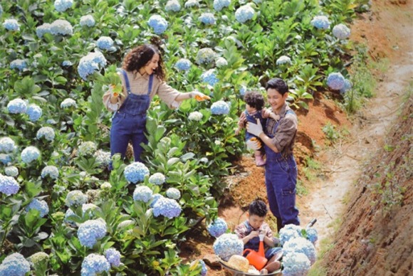 Hải Băng và Thành Đạt, vợ chồng Hải Băng, Thanh Đạt, Hải Băng và con