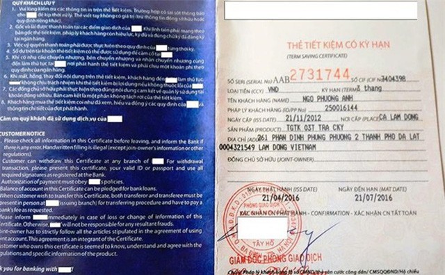 Giả làm sổ tiết kiệm, lừa đảo chiếm đoạt 30 tỷ đồng - Ảnh 1.