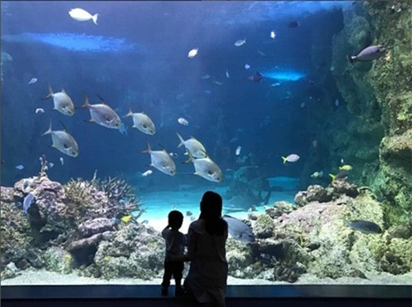 Những khoảnh khắc ngọt ngào của vợ chồng Tăng Thanh Hà khiến triệu cặp tình nhân ngưỡng mộ-2